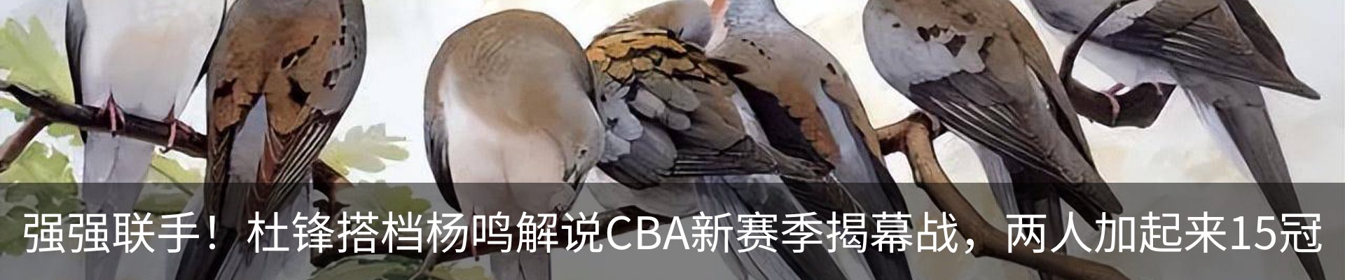 资讯动态